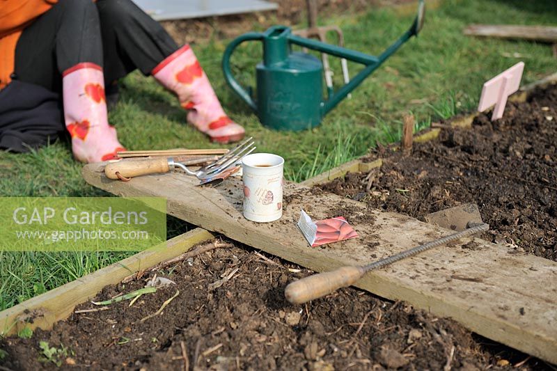Woman gardener taking a coffee break on the allotment, showing coffe mug, seed packet and gardening items, Norfolk, UK