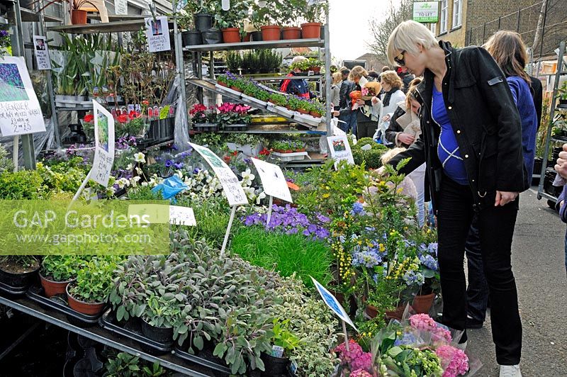 Columbia Road Flower Market with lady looking at a plant stall, Tower Hamlets London UK