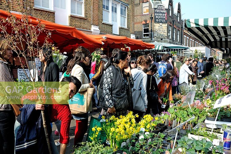 Columbia Road Flower Market with people looking at a plant stall and lady in forground holding small tree, Tower Hamlets London UK