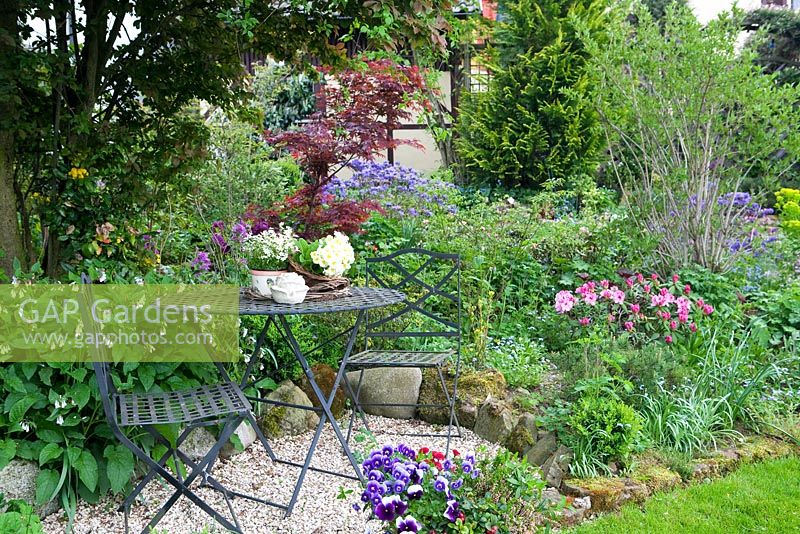 Seating area with gravel in Spring garden with Rhododendron yakushimanum 'Nicoletta', Acer palmatum 'Atropurpurea', Rhododendron russatum 'Azurwolke' and Symphytum grandiflorum 'Blaue Glocken'
