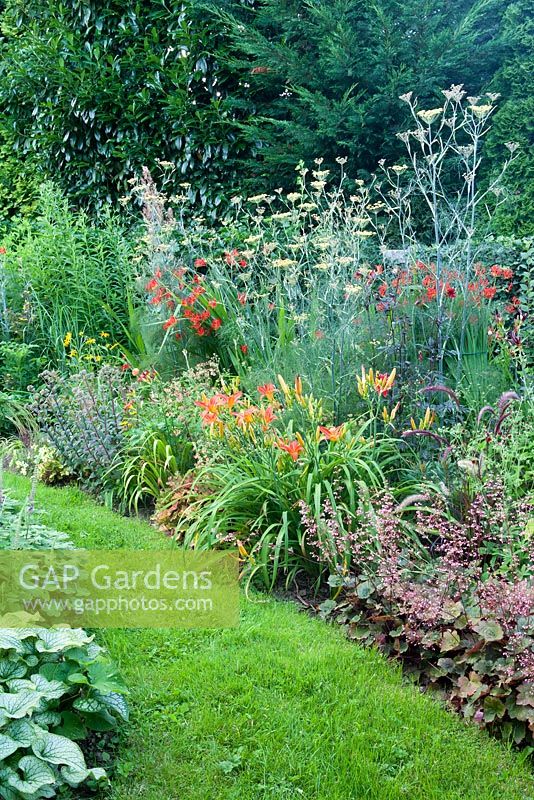 Hemerocallis 'Little Joy', Crocosmia 'Lucifer', Pennisetum setaceum 'Rubrum', Heuchera micrantha 'Rachel', Foeniculum vulgare 'Atropurpureum'