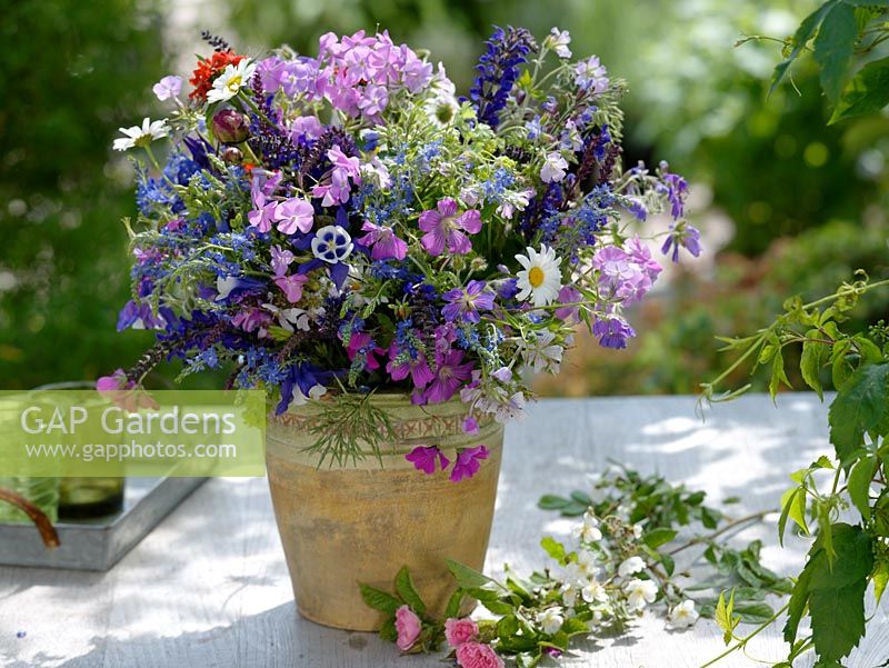 GAP Gardens - Early Summer bouquet of garden perennials - Veronica ...