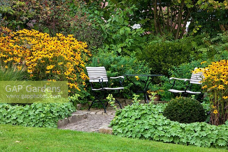 Wood and iron garden furniture on a granite paved patio backed by mixed border of Alchemilla mollis', Cornus alba 'Sibirica',  Hypericum calycinum, Pennisetum alopecuroides,  Rudbeckia fulgida and Taxus baccata - clipped Yew balls