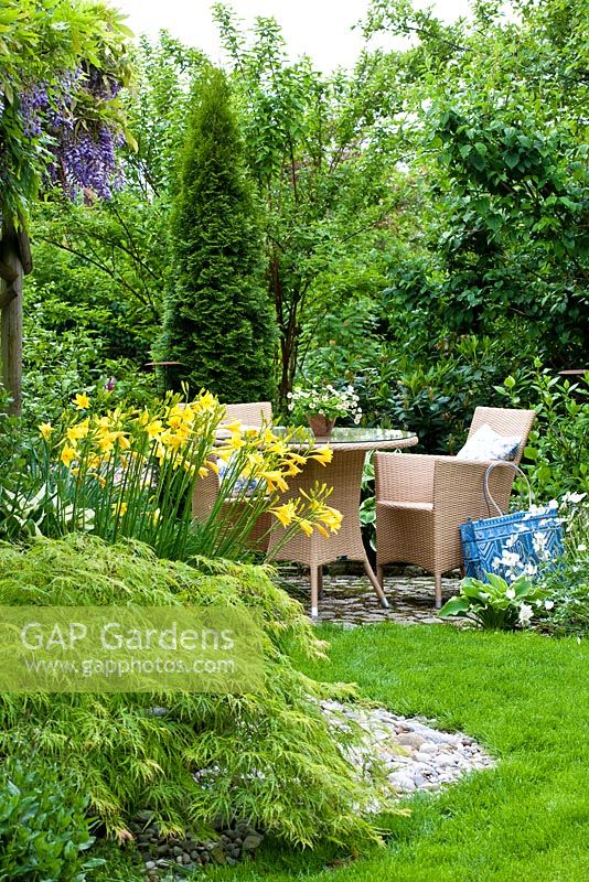 Patio with beige weather proofed wicker garden furniture and borders of Anemone sylvestris, Bellis, Chamaecyparis and Hemerocallis