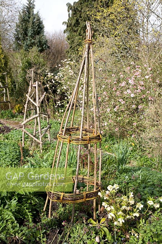 Obelisk for climbing plants. Hazel verticals with woven willow.