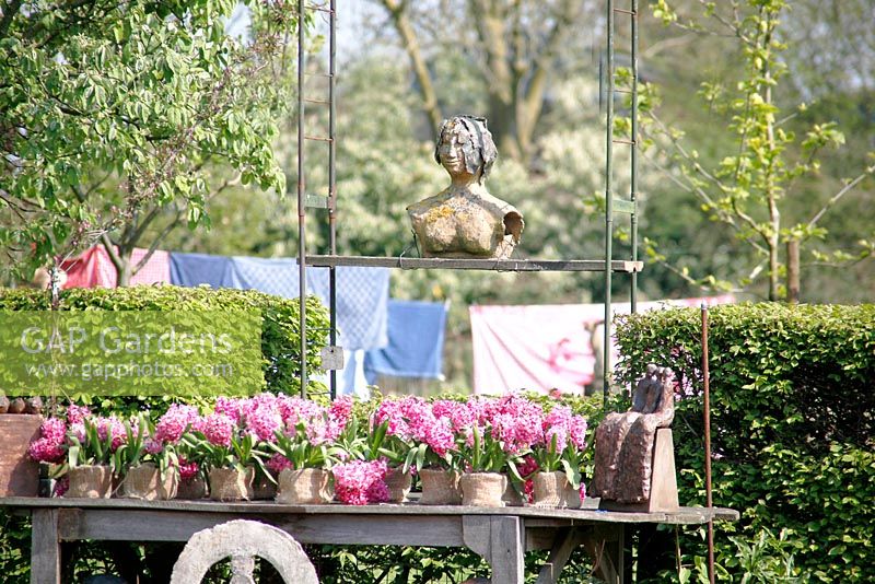 Display of pink Hyacinths in hessian containers on wooden table with sculpture above on metal frame at Bed and breakfast de Lievendael in Velp ,Brabant, Holland
 