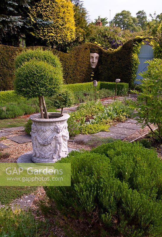 The Herb garden, with yew hedge, topiary, face sculpture and formal planting and privet in urn - Tilford Cottage 