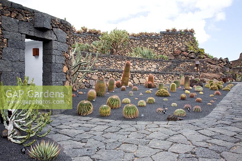 The restrooms, built into the landscape, surrounded by Ferocactus - El Jardin de Cactus, Lanzarote, Canary Islands