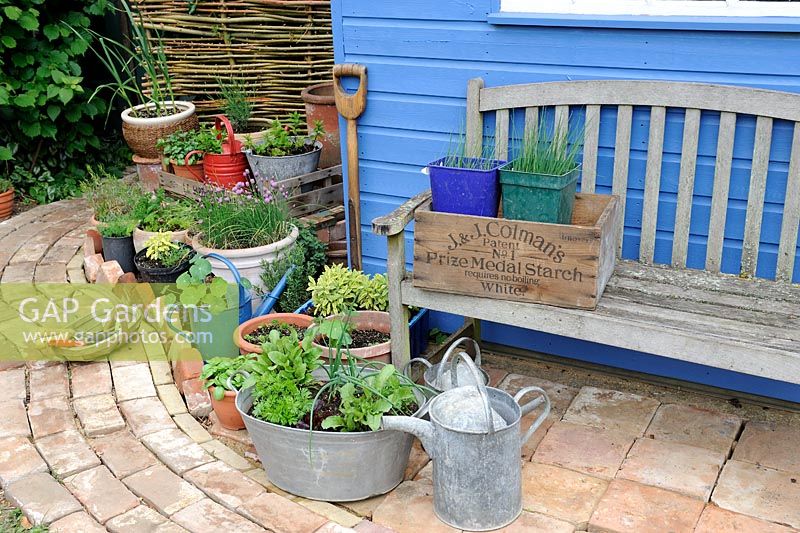 Garden corner with reclaimed brick path and blue shed, with container herbs and salad vegetables, Norfolk, England, may