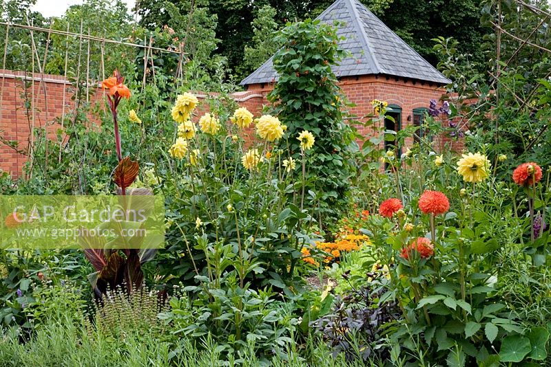Walled Potager in Summer with Dahlias, Cannas, Marigolds and mixed Vegetables