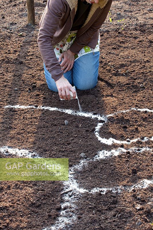 Planting a herbaceous border - marking plant areas with sand 