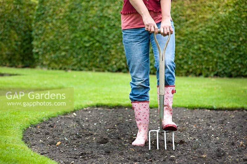 Woman wearing blue jeans and wellies using a garden fork to dig 