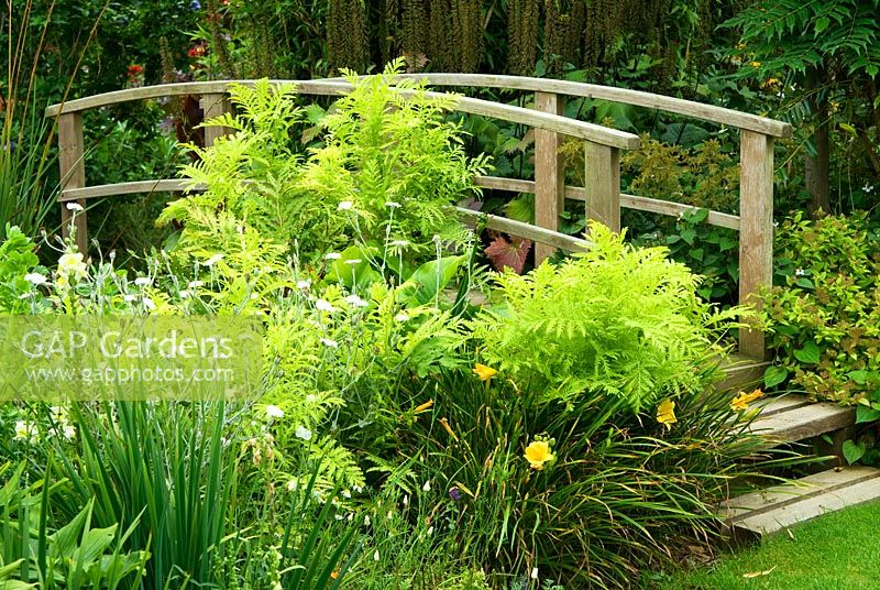 Wooden bridge surrounded by Bamboo, Hemerocallis - Day Lilies, Lycnis coronaria 'Alba'. Poppy Cottage Garden, Roseland Peninsula, Cornwall, UK
