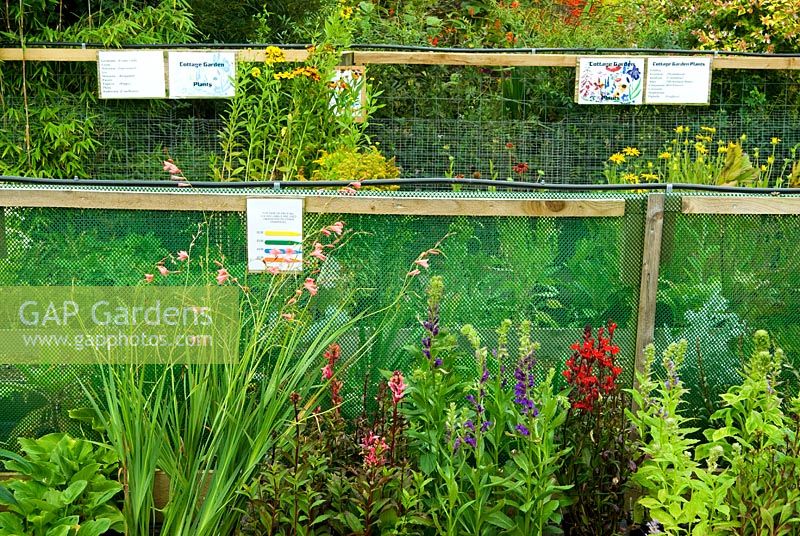 Plant sales area. Poppy Cottage Garden, Roseland Peninsula, Cornwall, UK