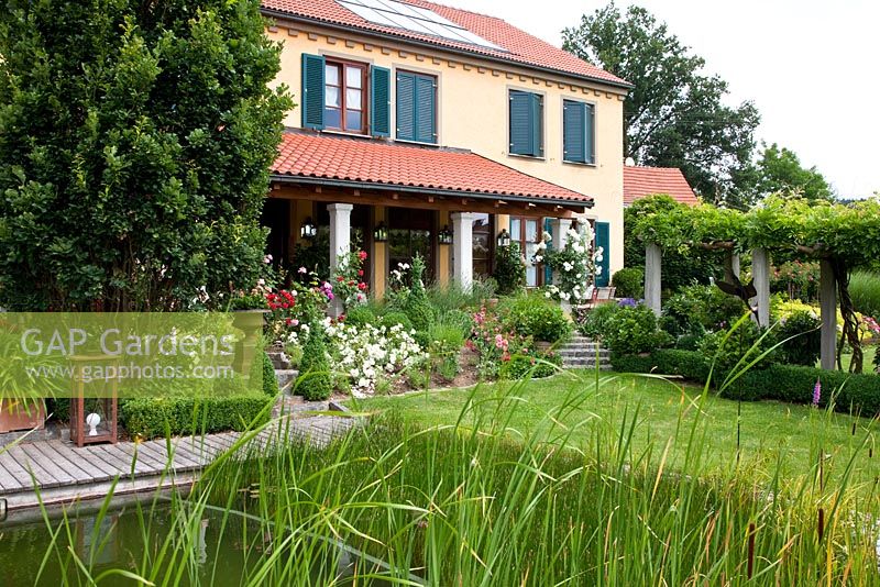 View from natural swimming pool. Planting includes Rosa 'Leonardo da Vinci', Rosa 'Schneeflocke', Buxus, Rosa 'Climbing Iceberg' Quercus robur 'Fastigiata', Typha laxmannii, Wisteria sinensis