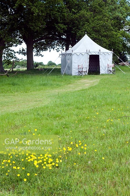 Wild flower meadow with tent - Rustling End
 