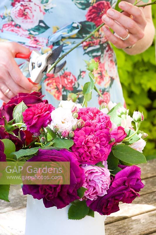 Woman trimming Rose stems for floral display on table