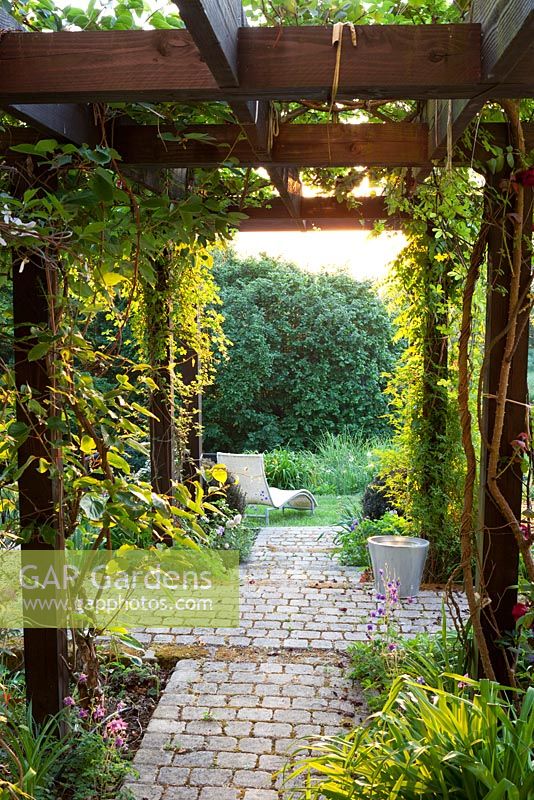 View beneath pergola of deck chair in summer garden