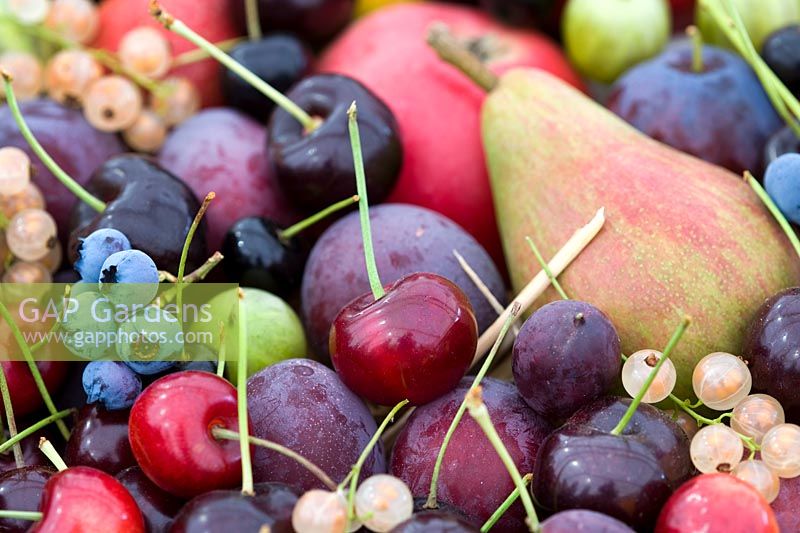 Mixed summer fruit including - cherry, blueberry, pear, plum, white currents, apple and goosberry.