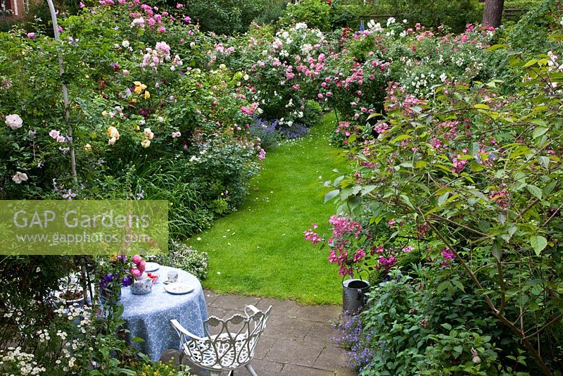 Sitting area with dressed table and white metal chair next to 'Adam Messerich', 'Bonica 2000', 'Buff Beauty', 'Cardinal Hume', 'Leonardo da Vinci', 'Mozart', 'New Dawn' and Campanula poscharskyana