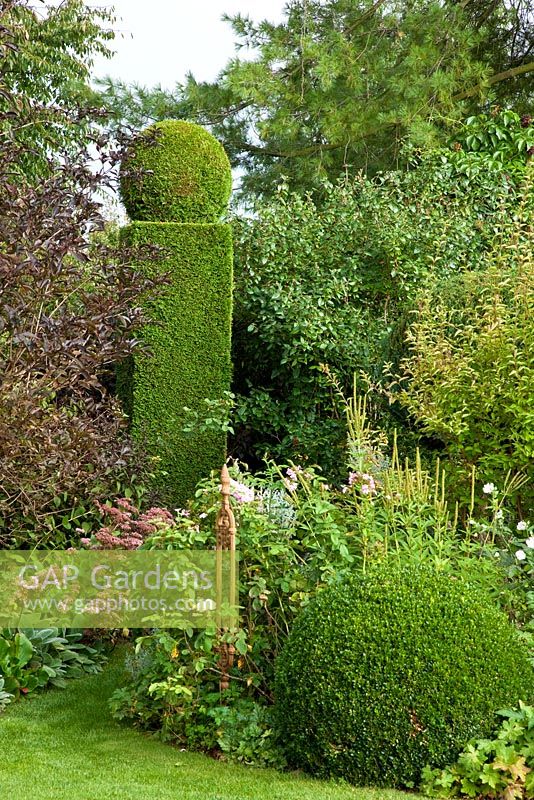 Topiary and a box sphere in a mixed border with Buxus, Sambucus nigra 'Black Beauty', Sedum 'Matrona' and Thuja occidentalis 'Smaragd'