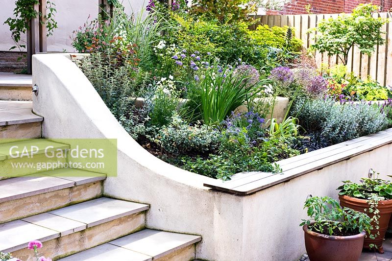 Limestone steps through sloping small modern garden with white painted walls, terrace and tiered planting. 