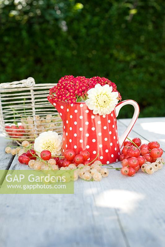 Red and white currants with polka dot jug and flowers on wooden table
