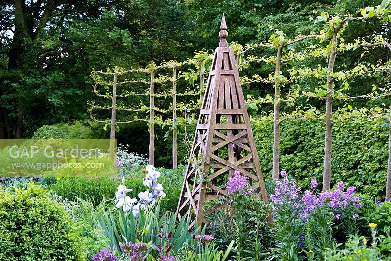 Formal early summer border with Iris 'Jane Philips', wooden obelisk and pleached Tilia - Lime hedge