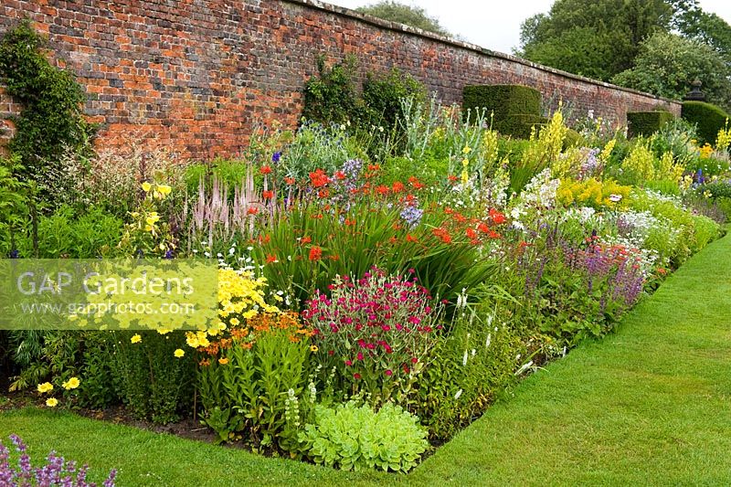 Herbaceous border in early July backed by an eighteenth century wall. Between the beds are handsome Taxus - Yew finials designed by Rowland Egerton-Warburton and planted in 1856 - Arley Hall, Cheshire, early July