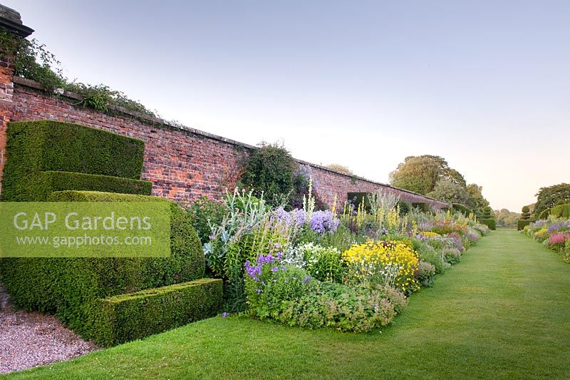 Herbaceous border in backed by an 18th century brick wall. Between the beds are Taxus - Yew finials designed by Rowland Egerton-Warburton and planted in 1856 - Arley Hall, Cheshire, early July 
