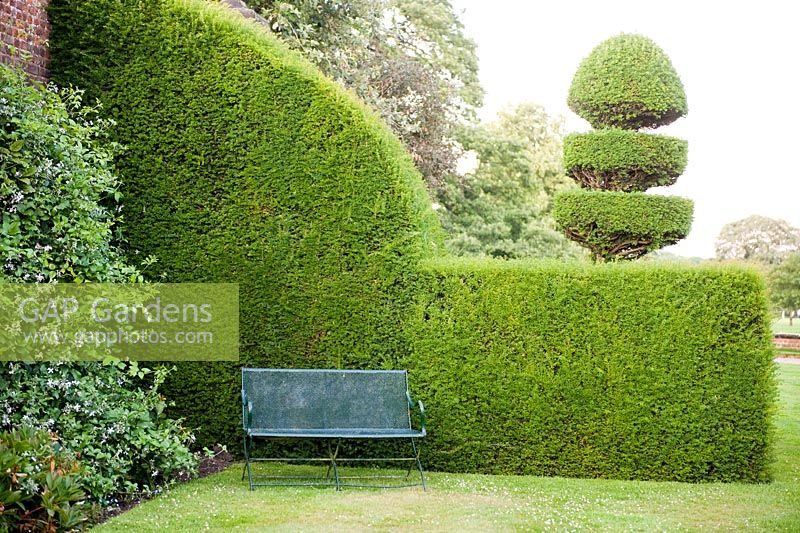 Metal seating and clipped Taxus - Yew hedge and finials designed by Rowland Egerton-Warburton and planted in 1856 - Arley Hall, Cheshire