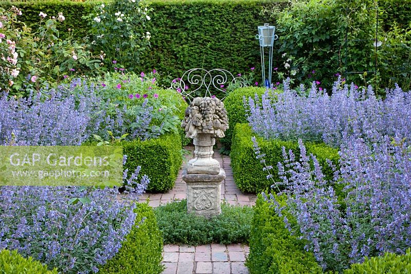 Formal garden with scented borders of Nepeta 'Walkers Low'  - Catmint. Buxus and Taxus hedges