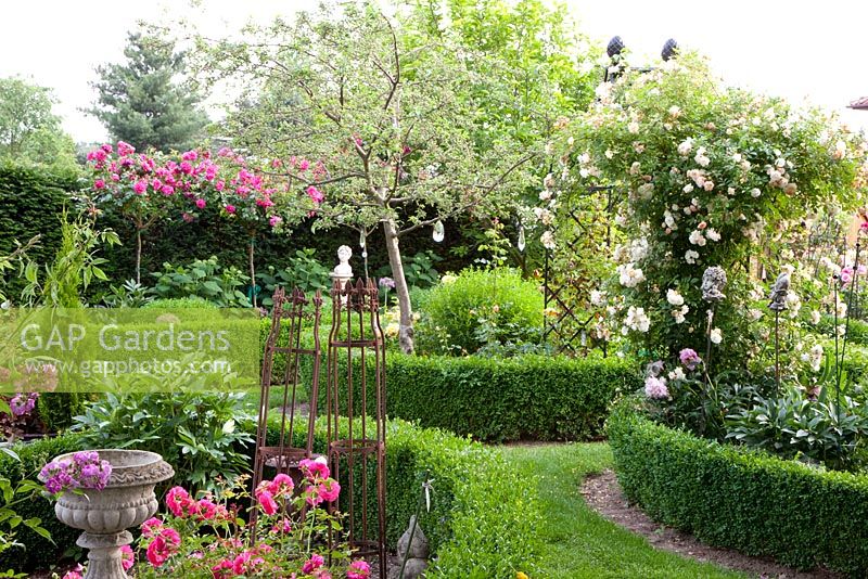 Rose garden with climbing and standard Roses in beds edged with low Buxus hedges. Rosa 'Apricot' , Rosa 'Ghislaine de feligonde' and  Rosa 'Laguna'