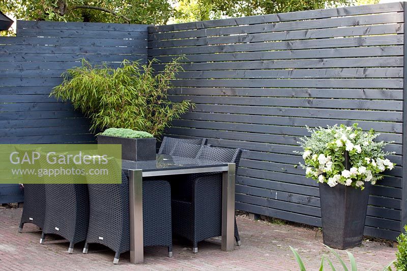 Contemporary dining area with black stained screen and pots of Bamboo and Petunias - Lipkje Schat Garden