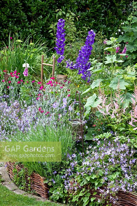 Raised bed with woven willow edging - Lychnis coronaria, Campanula poscharskyana, Astilbe and Lavandula - Lavender - Scheper Town Garden 