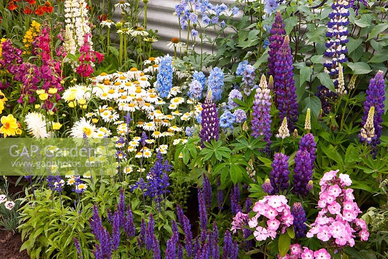 Colourful border. 'The Schedule' garden - Gold Medal winner, RHS Flower Show Tatton Park, Cheshire 2011
