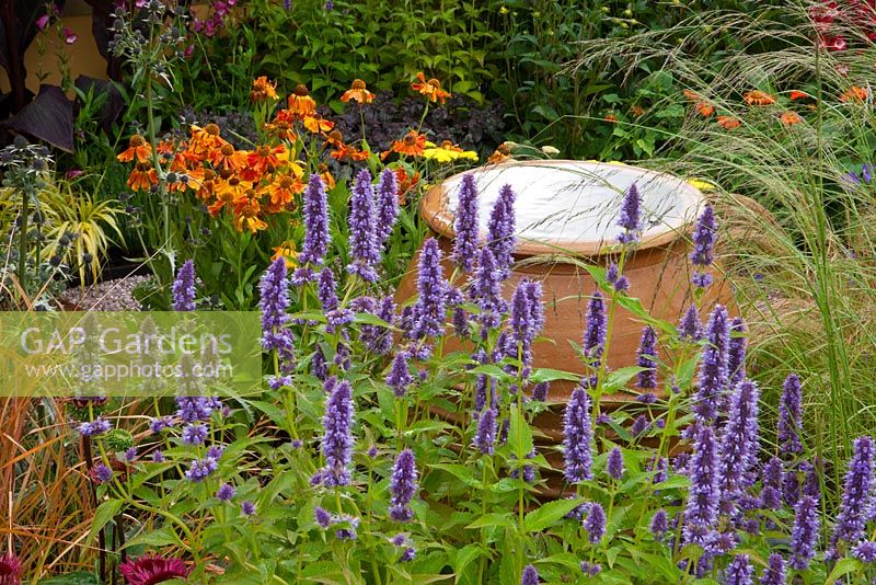 Water feature and Agastache 'Blue fortune', Eragrostis curvula - African Love Grass, Helenium 'Waldtraut'. Painting with Plants' garden - Silver Gilt Medal winner, RHS Flower Show Tatton Park, Cheshire 2011 
