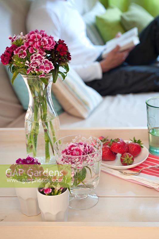 Display of Dianthus barbatus (Sweet William), with strawberries on a plate