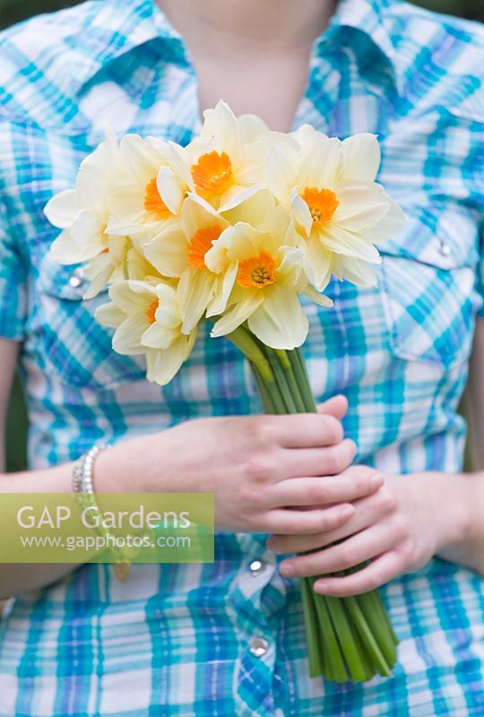 Girl holding Narcissus 'Edward Buxton'