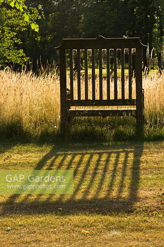 Meadow garden with wooden bench casting long shadows, Oxfordshire
