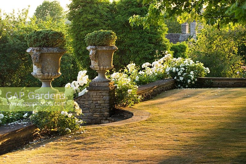 View from terrace with white climbing Rosa and ornate stone urns 
