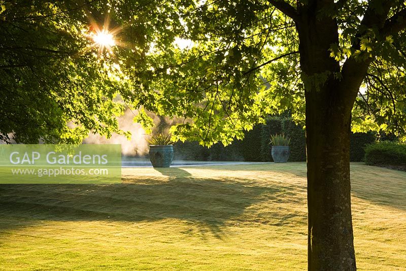Lawn in early morning