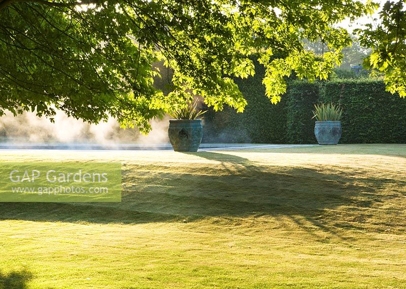 Sloping lawn in early morning
