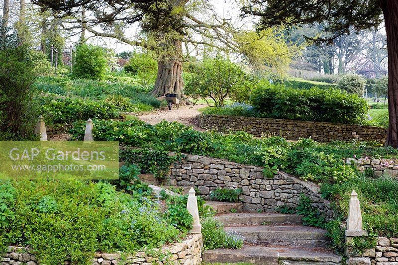Curving stone steps in terraced spring garden