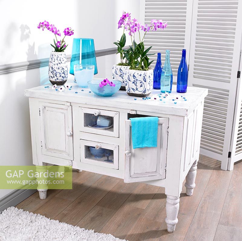 Cupboard with Dendrobium plants in decorative containers 