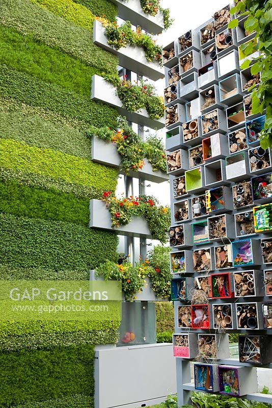 Green and vertical feature walls in modern garden