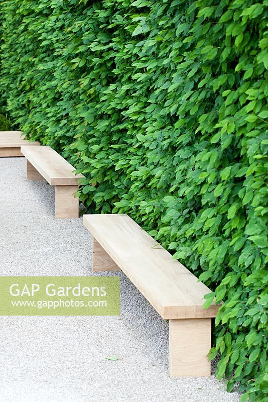 Wooden benches in modern garden 