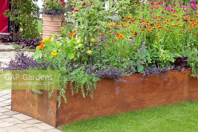 Raised bed with mixed planting of edibles and companion plants 
