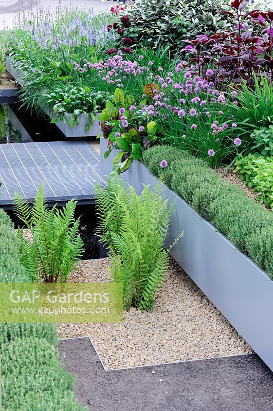 Herb garden with herbs planted in raised containers 