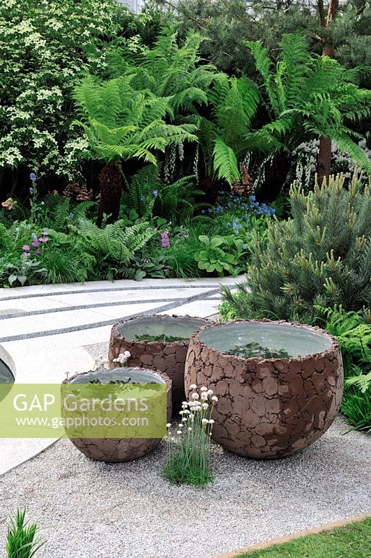 Decorative clay pots containing miniature water gardens 